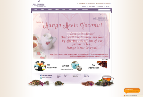 singapore website designer