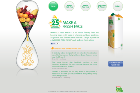 singapore website designer