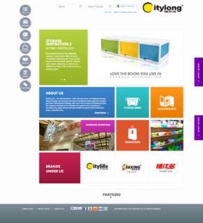 singapore website designer