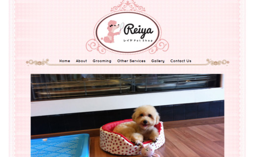 singapore website designer