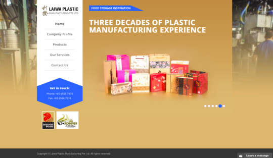 singapore website designer