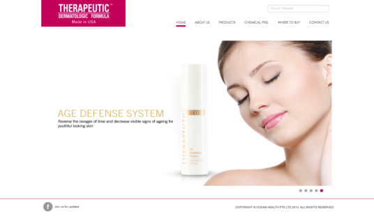 singapore website designer