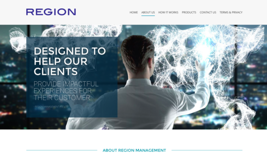 singapore website designer