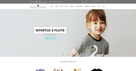 singapore website designer