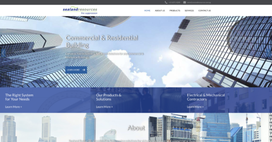 singapore website designer