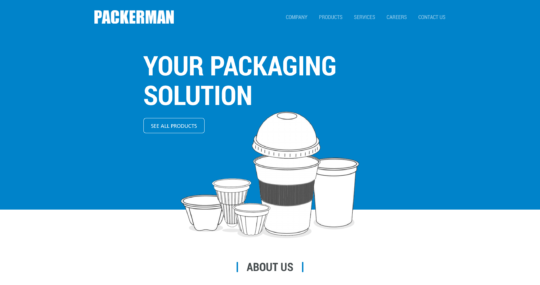 singapore website designer