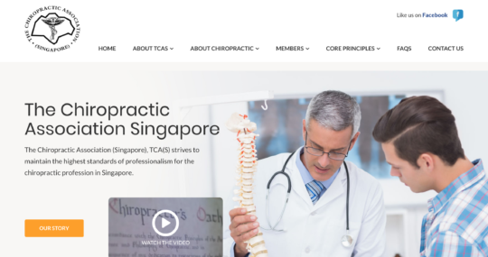 singapore website designer